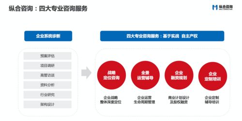 縱合咨詢MCC 企業(yè)戰(zhàn)略定位與管理咨詢領(lǐng)域的特色品質(zhì)典范